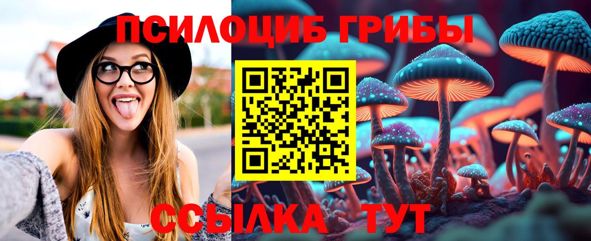 Галлюциногенные грибы GOLDEN TEACHER Элиста
