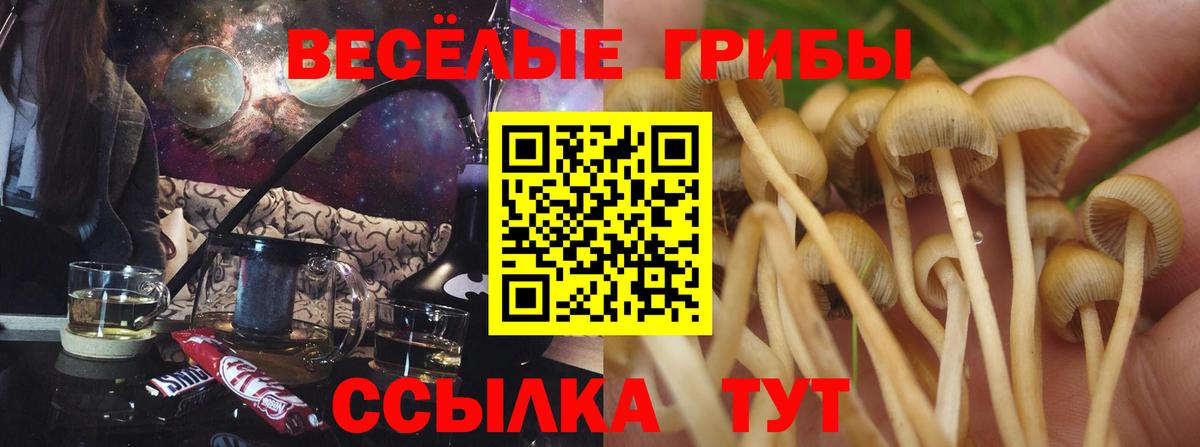 Галлюциногенные грибы Magic Shrooms  Псилоцибиновые грибы MAGIC MUSHROOMS  Вход с VPN  дарнет шоп  Элиста 